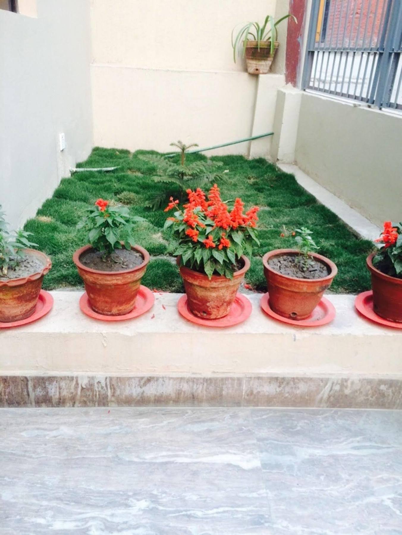 Kathmandu Sunny Hotel מראה חיצוני תמונה